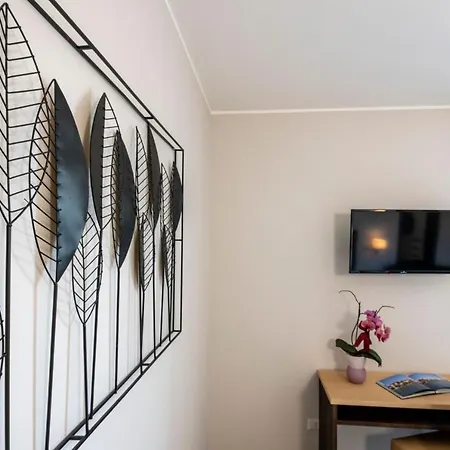 波斯顿酒店 酒店 斯特雷萨