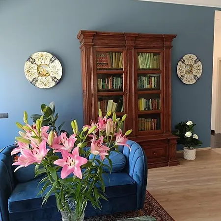 波斯顿酒店 酒店 斯特雷萨